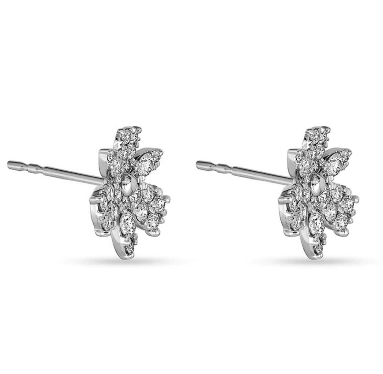 Magnolia Studs